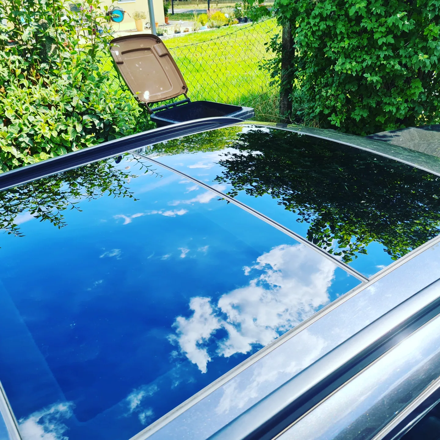Panoramascheibe getönt
